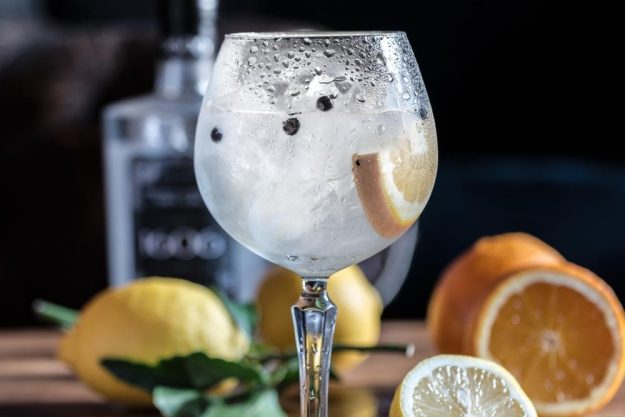 Gin-Tasting München – Gin Tonic mit Zitrone