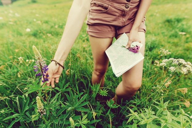 Kräuterwanderung München – Frau sammelt Wildpflanzen