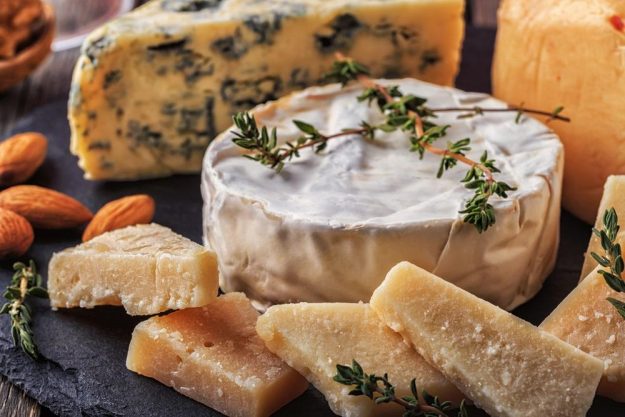 Käse- und Wein-Degustation Pfalz: feine Rohmilchkäse