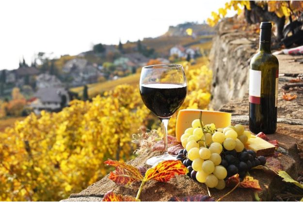 Weinprobe Berlin – Weinbergterrasse Italien