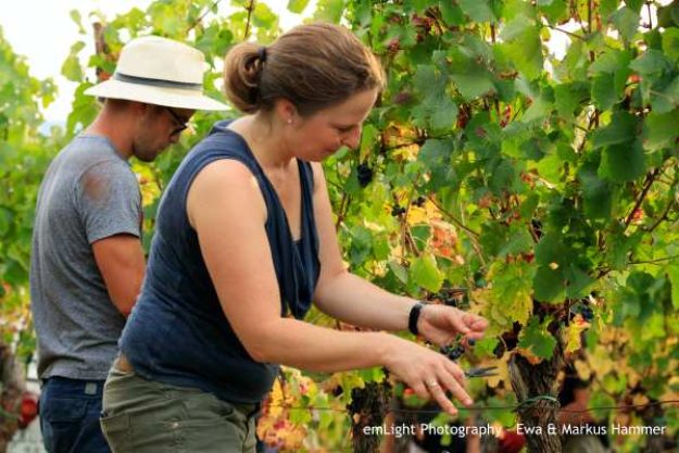 Weinprobe mit Wanderung Pfalz – Barbara Roth