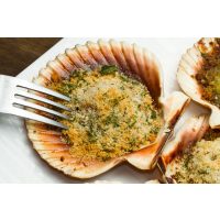 Fisch-Kochkurs Stuttgart – gratinierte Jakobsmuschel