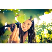 Wein-Wanderung Pfalz: Reben entdecken und naschen