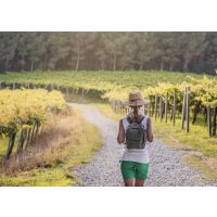 Wein-Wanderung Pfalz: junge Frau wandert