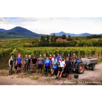 Weinprobe mit Wanderung Pfalz – Arbeiter im Weinberg