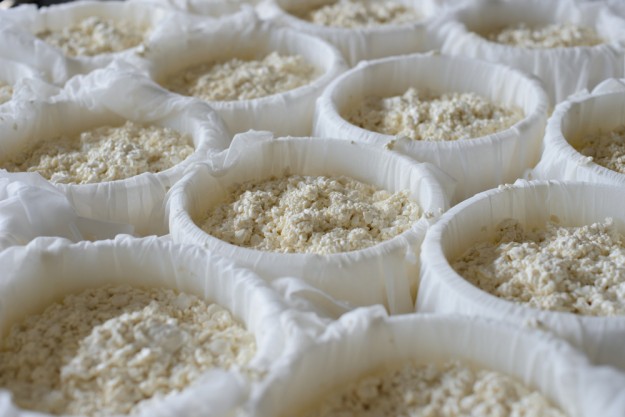 Käse selber machen Dresden – Käse formen
