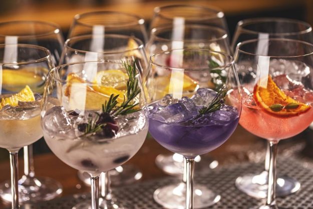 Gin-Tasting Augsburg – Gin Varianten