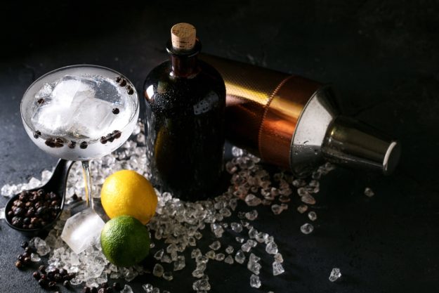 Gin-Tasting-Augsburg der beste Gin Tonic