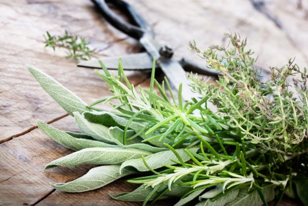 Mediterraner Kochkurs Heidelberg – frische Kräuter