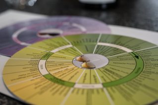 Weinseminar Stuttgart Das ABC der Weine