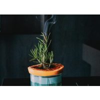 Cocktailkurs Paderborn – moderne, effektvolle Cocktails