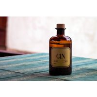 Gin-Tasting Augsburg – dein Gin
