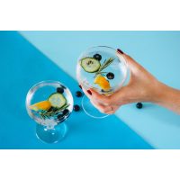 Gin-Tasting-Augsburg welcher gin zu welchem Tonic