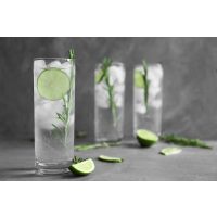 Gin-Tasting-Augsburg wie kombiniert man Gin mit Tonic