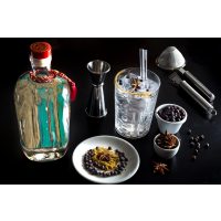 Gin-Tasting Ludwigsburg – Gin Botanicals