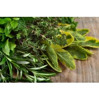 Mediterraner Kochkurs Augsburg – frische Kräuter