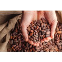 Online Kaffee-Tasting – Kaffeebohnen