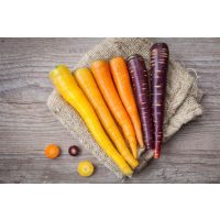 Veganer Kochkurs Augsburg – verschiedene Sorten Karotten