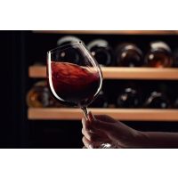 Weinprobe Augsburg – Rotwein