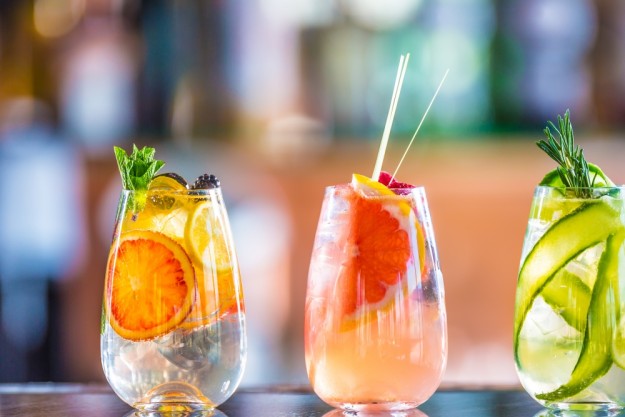 Gin-Tasting Münster Gin von allen Seiten