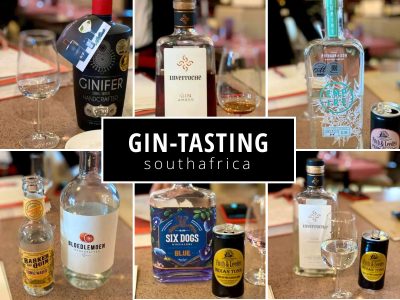gin-tasting-suedafrika-6-gins-mit-tonics-und-sommelier-nuernberg GIN-Tasting Südafrika – 6 Gins mit Tonics & Sommelier