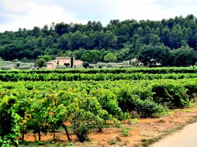 Weinverkostung in Mannheim La Montagne – Frankreichs Berg- und Weinwelten