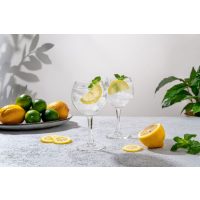 Garden Cocktails - Vom Balkon an die Bar