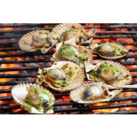 karibischer Kochkurs Berlin Jakobsmuscheln