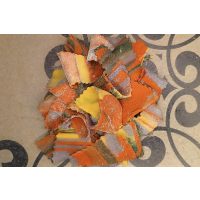 Pasta-Kurs Nürnberg – eingefärbte Pasta