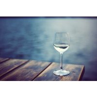 Weinprobe Münster – Weinprobe auf dem Aasee 