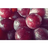 Weinprobe Münster – Weintrauben