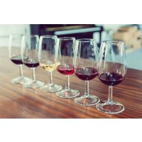 Weinprobe Münster – Weinprobe an Bord der Solaaris