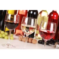 Weinseminar Münster - Weine