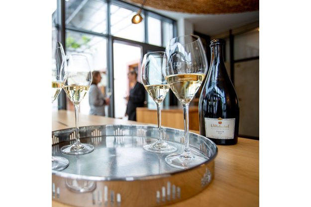 Riedel-Gläser-Seminar im Weingut Wilhelmshof