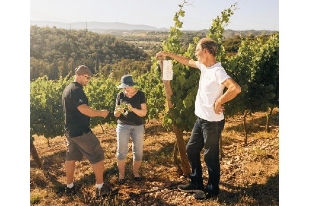 Südportugal trifft Südpfalz