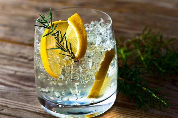 Gin-Tasting Frankfurt-Hofheim  Gin in allen Varianten