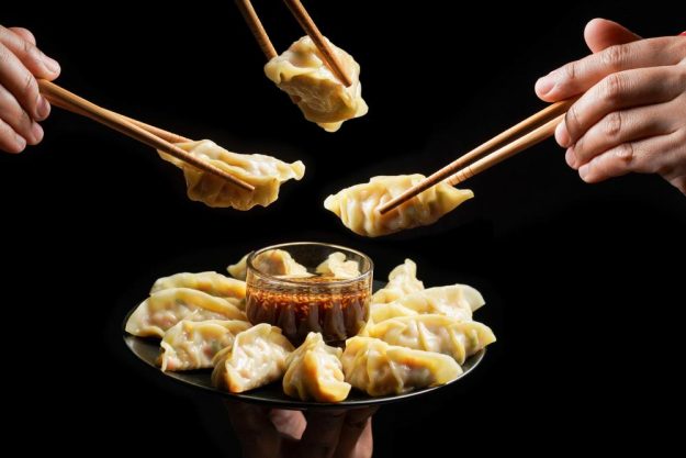 Japanischer Kochkurs Hamburg – Gyoza