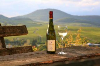 Weinprobe mit Wanderung Pfalz Weinbergwanderung Pfalz