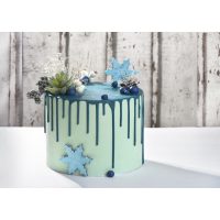 Dripcakekurs-Karlsruhe-Dripcake