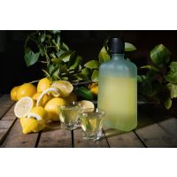 Cocktail-Tasting Karlsruhe – Limoncello Likör