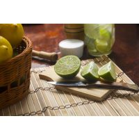 Cocktailkurs Berlin – wichtig: Limetten und Zitronen