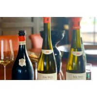 VINERIA Nürnberg – Premium-Weinprobe