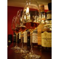Whisky-Tasting Frankfurt-Hofheim – Mann trinkt Whisky