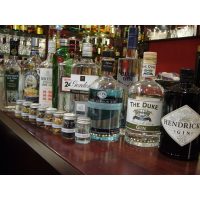 Gin-Tasting Frankfurt-Hofheim  Gin Tonics ohne Ende