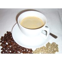 Kaffee-Tasting Frankfurt – Kaffee-Verkostung