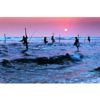 Fernweh stillen - Kulinarische Reise