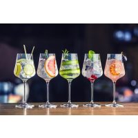 Gin-Tasting Karlsruhe – bunte Gin-Cocktails