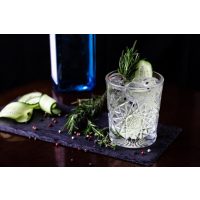 Gin-Tasting Karlsruhe – Gin mit Gurke