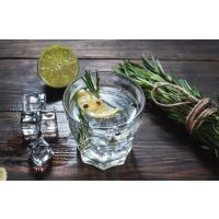 Gin-Tasting Karlsruhe – Gin und weitere Zutaten