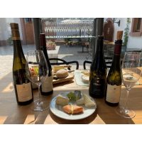 Käse-und-Wein-Degustation-online herrlicher Weichkäse und Wilhelmshof Weine